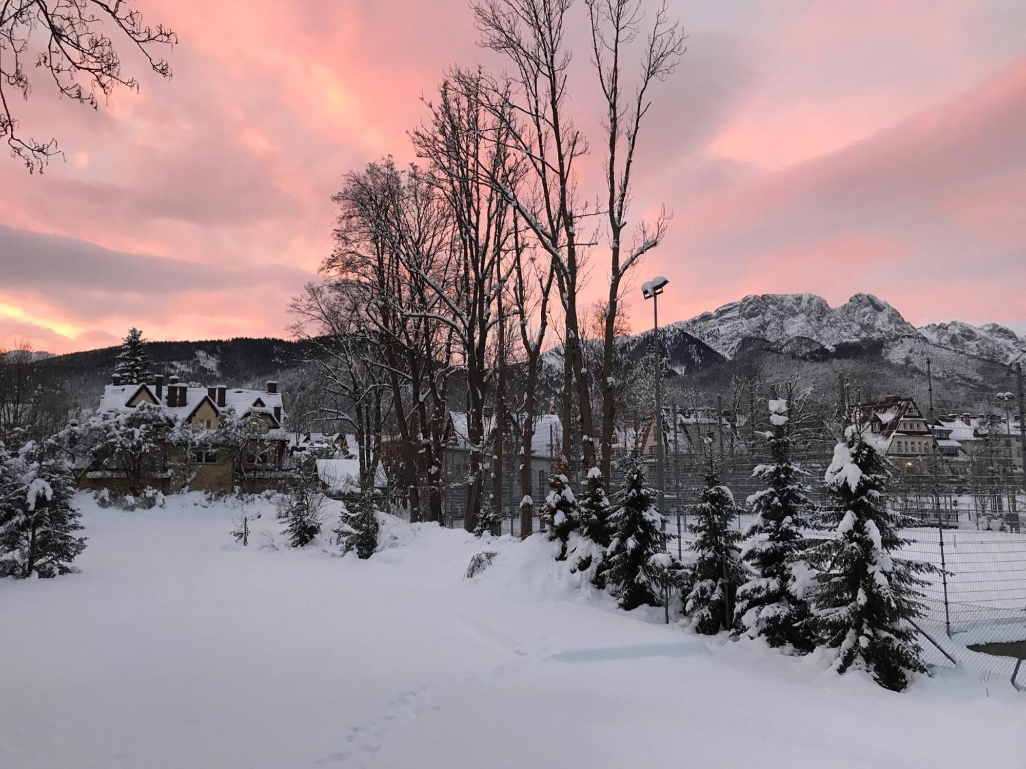 Willa Kmicic Zakopane Kültér fotó